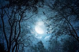 BuflMgHCUAAI7S2.jpg large