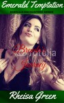Emerald Temptation - covermockup18