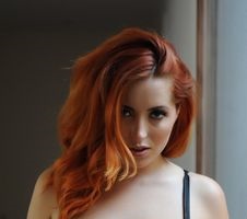 gingermuse1