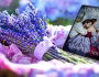 Historical Romance New&nbsp;Release